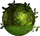 Wall Mural Forest