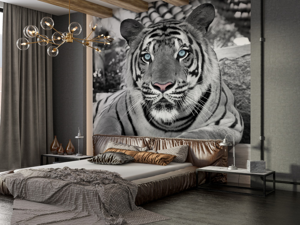 Wall Mural tiger